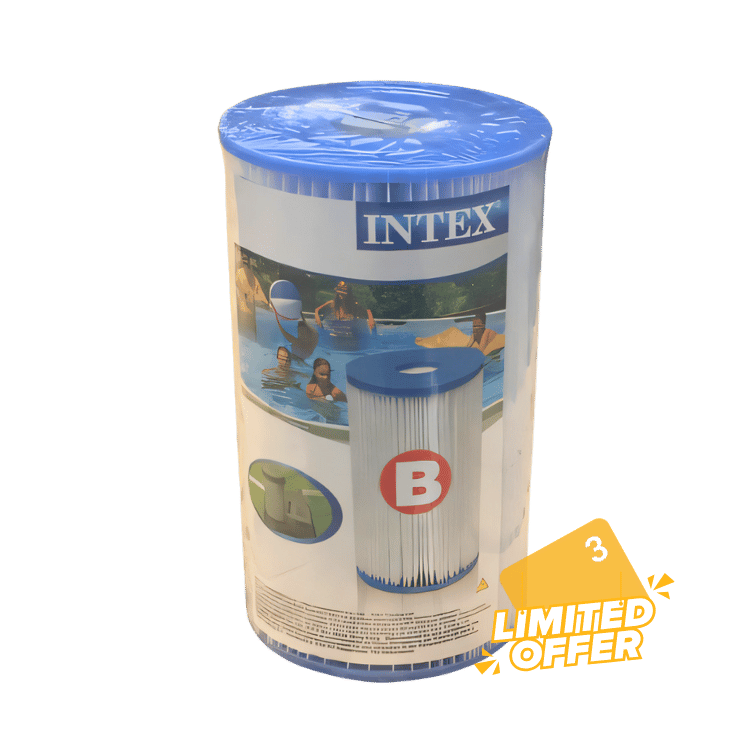Intex Type B Filter Cartridge | Blue Cube Direct