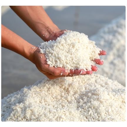 25kg Bag of Granular Pool Salt